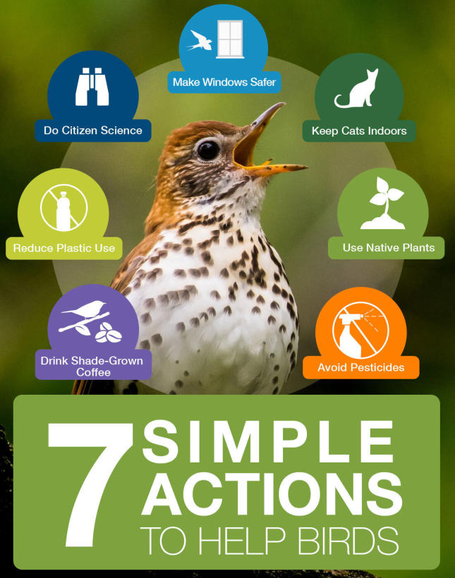 seven-simple-actions